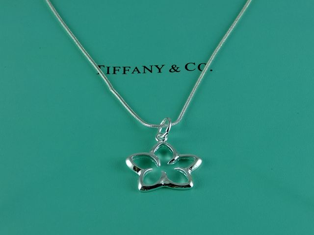 tiffany Necklace-349